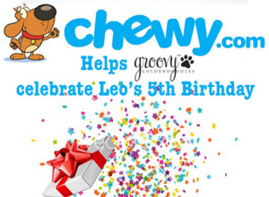 chewy.com celebratory image