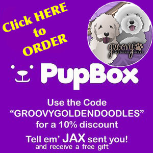 pupbox-banner-revised