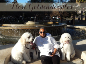 man sitting with two golden doodles
