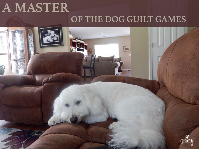 dog guilt games