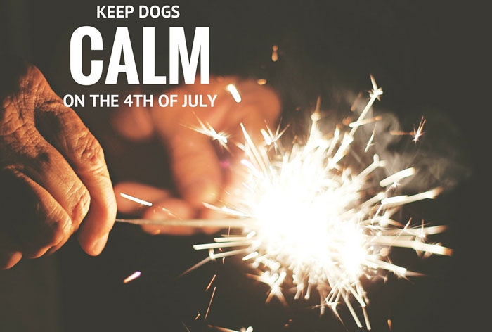 Keep dogs calm on the 4th of July