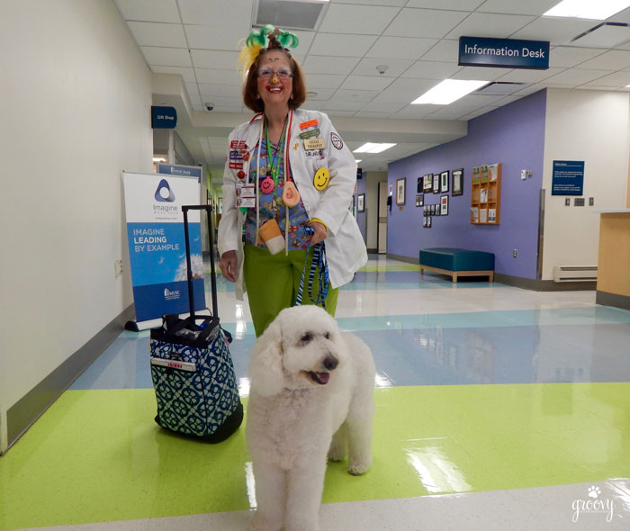 Life as a Therapy Dog