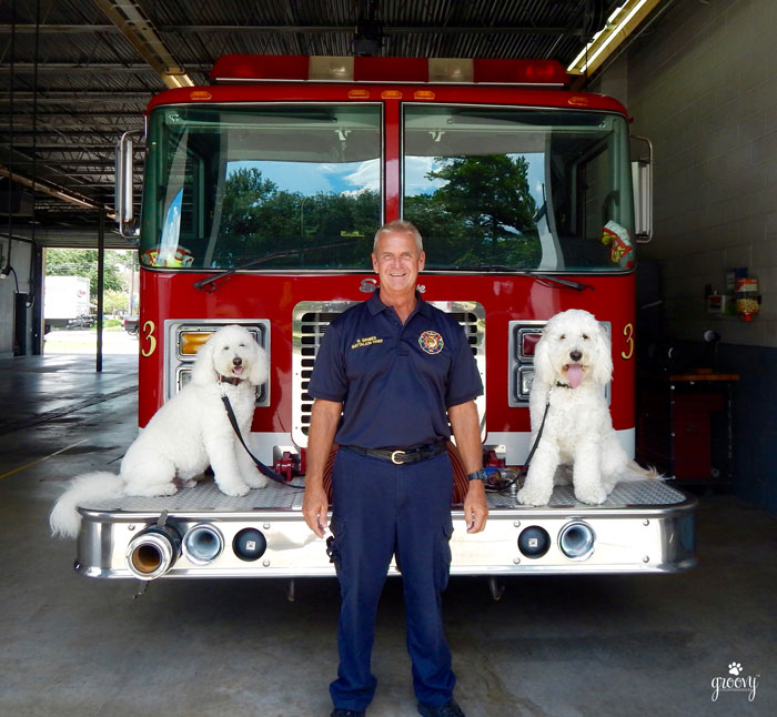 NATIONAL PET FIRE SAFETY DAY