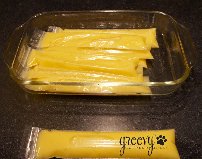FREEZE POPS FOR PUPS - THE HONEST KITCHEN
