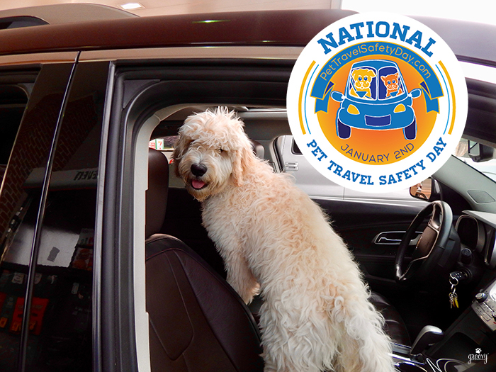 NATIONAL PET TRAVEL SAFETY DAY