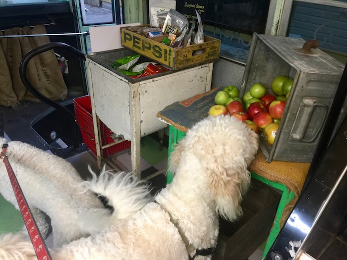 FRESH FRUITS FOR DOGS