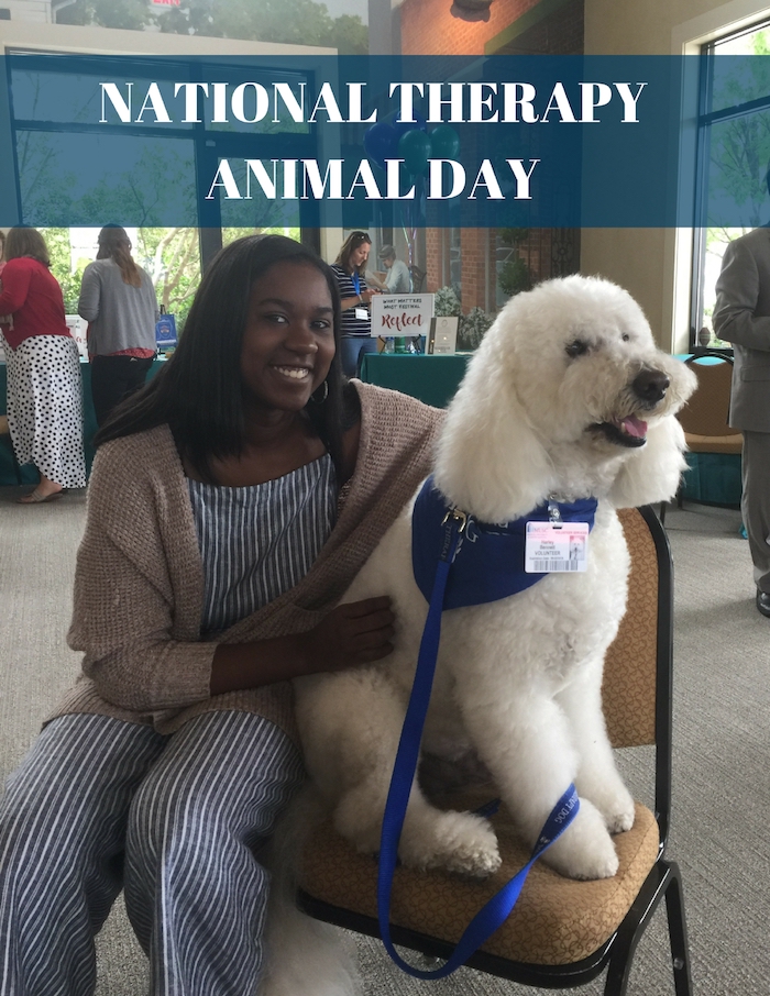 NATIONAL THERAPY ANIMAL DAY