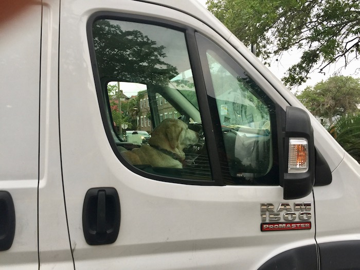 IS IT ILLEGAL TO LEAVE YOUR DOG IN A PARKED CAR?