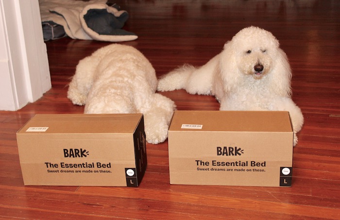 THE ESSENTIAL BED #BARKBOX