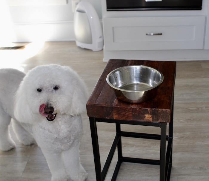 Harley has always been a picky eater. But ever since he's tasted Ollie Dog Food, he never moves from his bowl until all the food is gone!