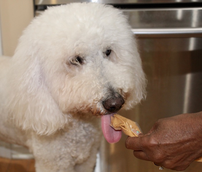 Harley was all tongue when it came time to lick the batter!