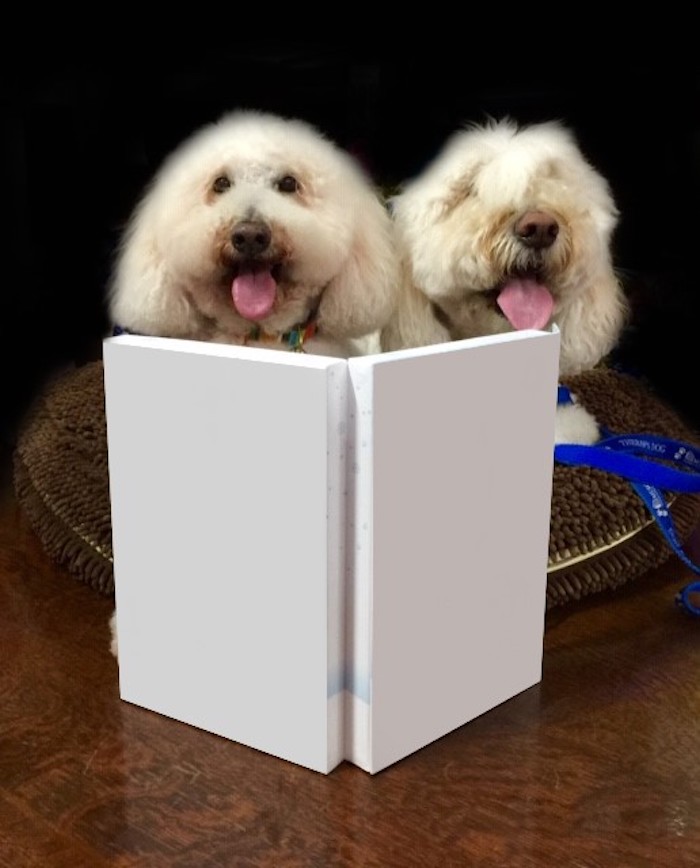 These two here - inspired me to pitch PAWsome Story Time to hospital administration. Dogs + a Story + Illustrations (anytime you want)? = PRICELESS
