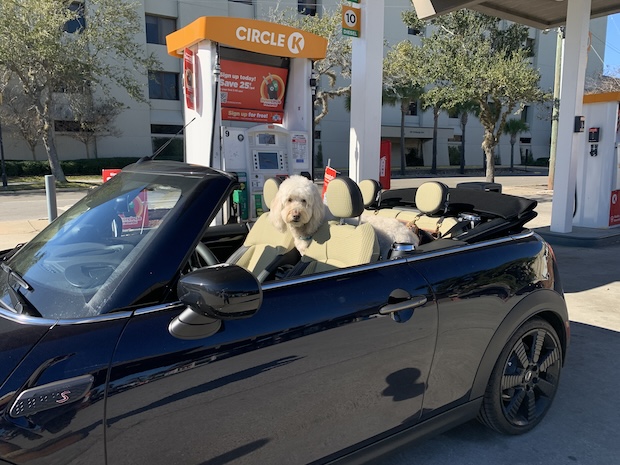 2023 Doodle review included a brand new convertible to ride to and from work each day.